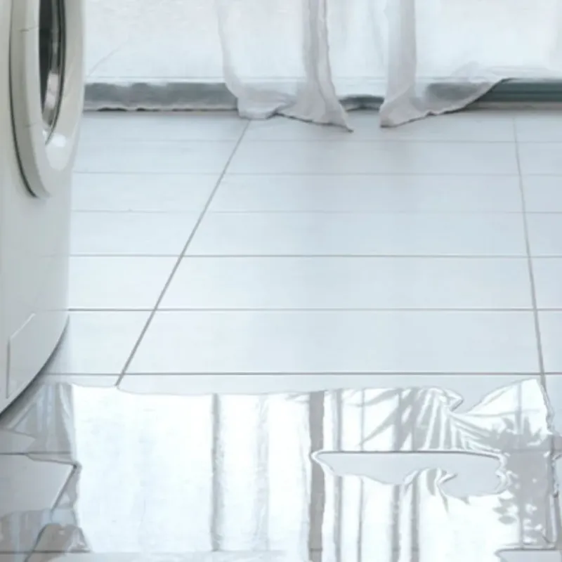 Appliance Leak Cleanup in Gibsonton, FL